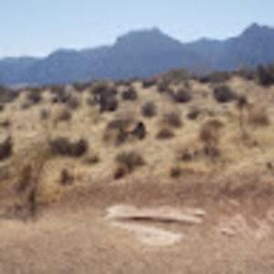 Meet your Posher, Tracie